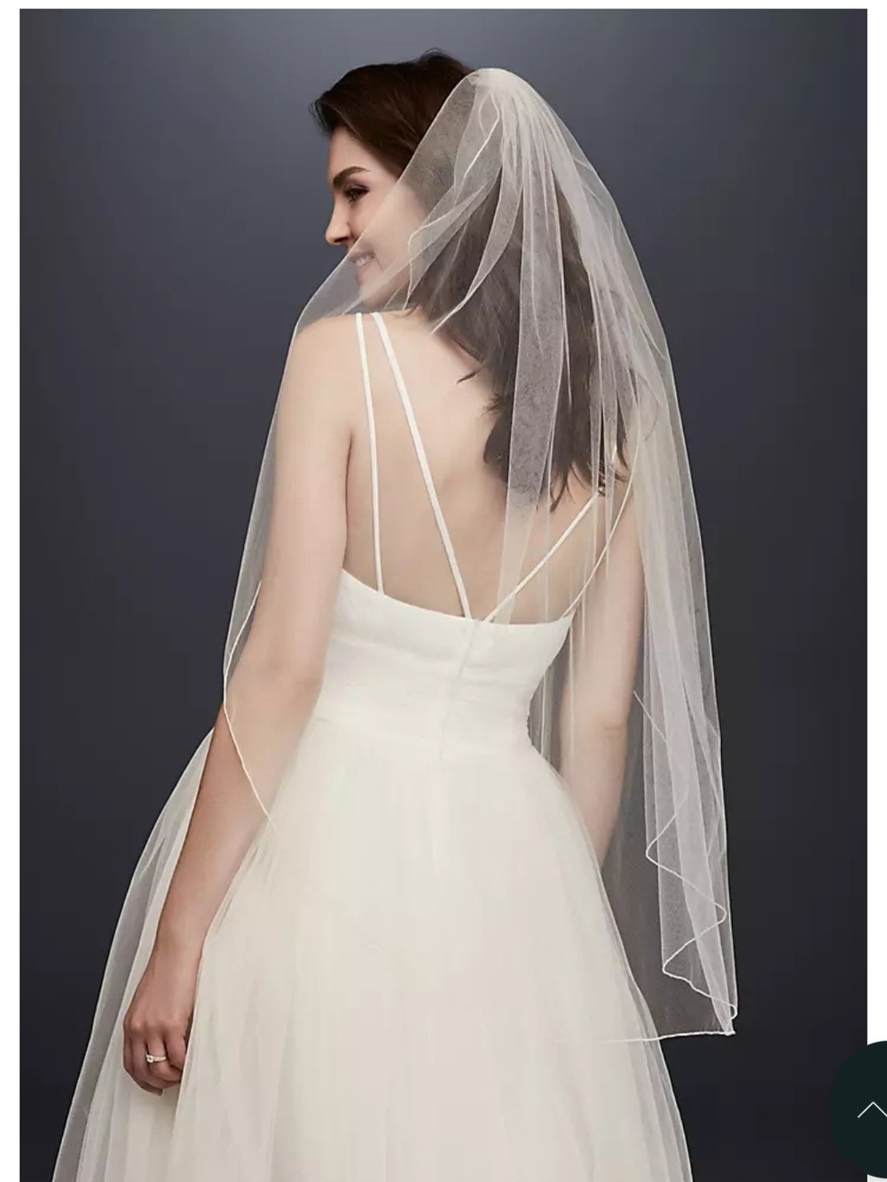 Elegant Ivory Veil David's Bridal